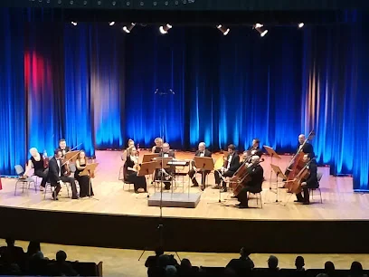 Radomska Orkiestra Kameralna